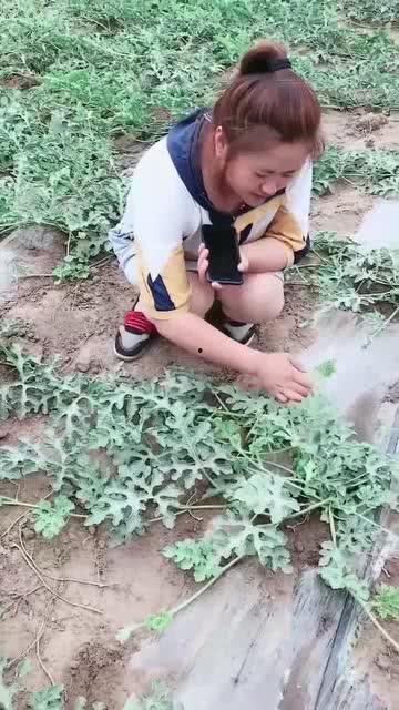 吃瓜娱乐范老师